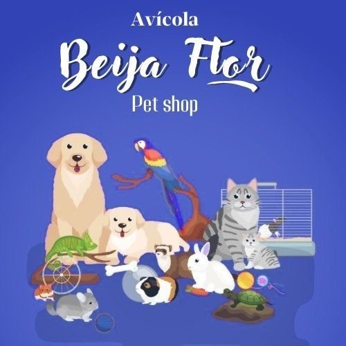 324702730_160093623064760_768609991108264400_n