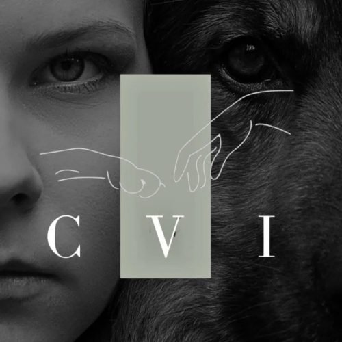 C.V.I - Centro Veterinário Integrado