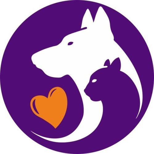 Jimmy Pets - Rua da Passagem