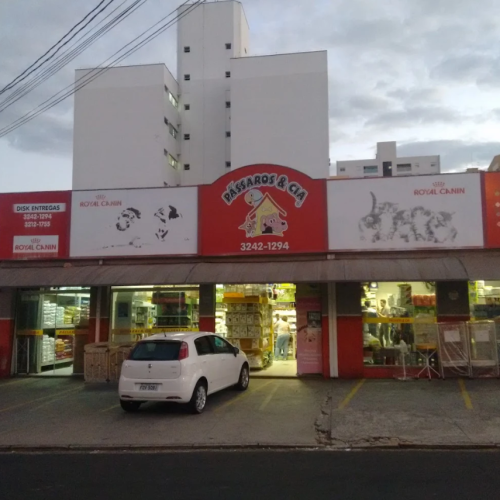 passaros e cia